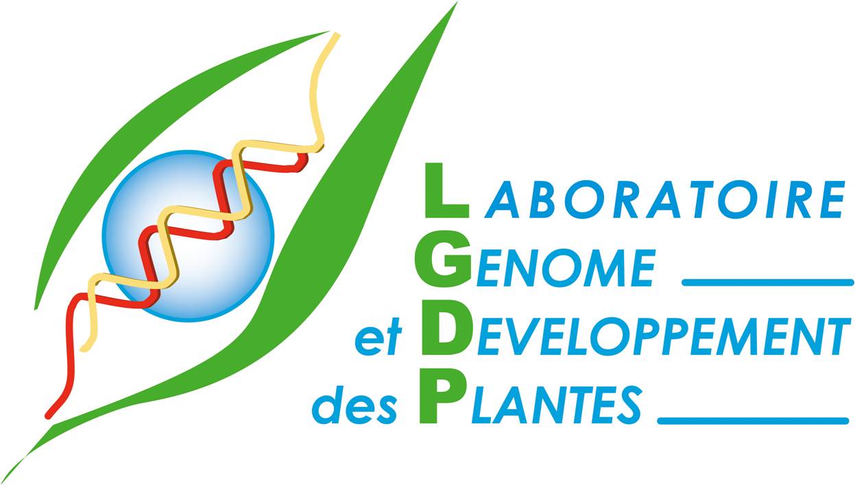 logo-LGDP